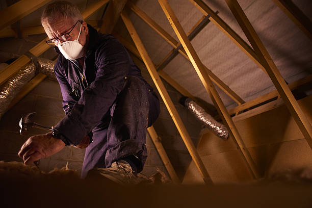 Best Specialized Insulation Services in Gloucester Point, VA