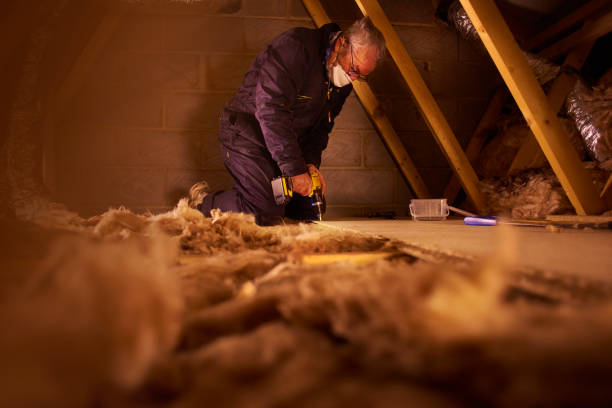Professional Insulation Contractor in Gloucester Point, VA